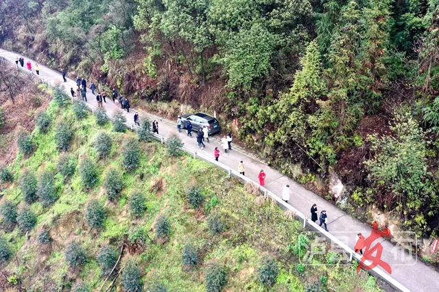 热闹!泸县上千人相约龙贯春会(图9) 9.jpg