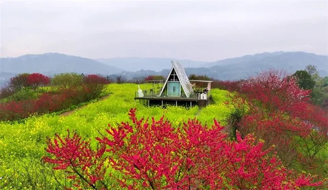 3000亩桃花林，这个春天来泸州龙湖水乡行好运！