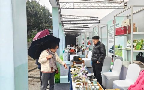 宜宾早茶集市热闹非凡，线上选购享受这抹青绿