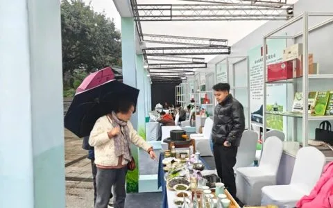 宜宾早茶集市热闹非凡，线上选购享受这抹青绿