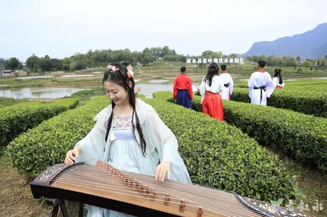 音乐节、酒博会、赏花、品茶……今年春天,泸州文旅活动一波接一波!