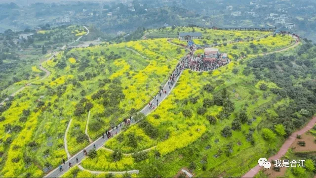音乐节、酒博会、赏花、品茶……今年春天,泸州文旅活动一波接一波!(图19) 19.jpg