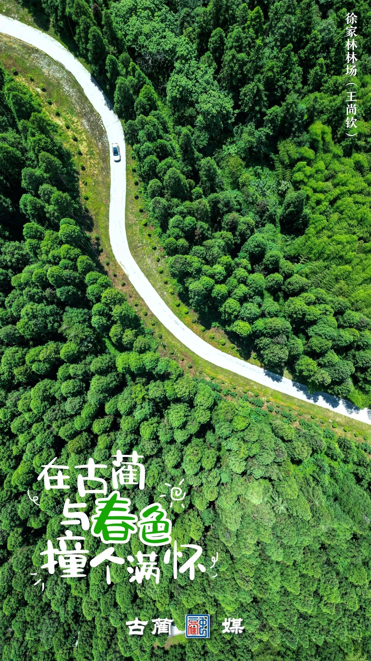 在泸州古蔺，与春光不期而遇…