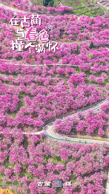 在泸州古蔺，与春光不期而遇…