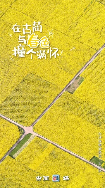在泸州古蔺，与春光不期而遇…