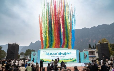 八方宾客奔赴叙永红岩村，沉浸式体验茶旅文化