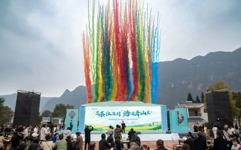 八方宾客奔赴叙永红岩村，沉浸式体验茶旅文化