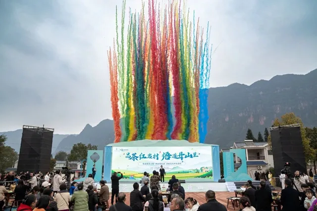八方宾客奔赴叙永红岩村,沉浸式体验茶旅文化(图1) 1.jpg