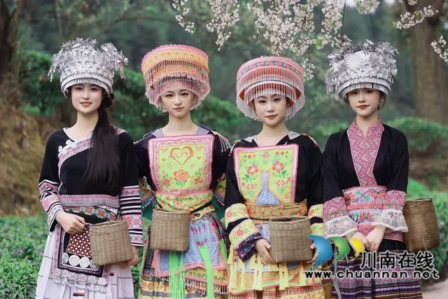 茶旅融合绘就乡村振兴新画卷|古蔺县马嘶苗族乡第九届茶文化周启幕(图25) 25.jpg