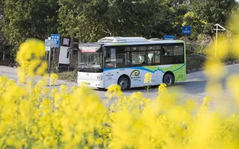 泸州这些地方花已开，坐公交打卡正当时~