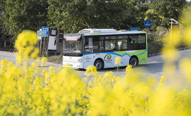 寻春意 踏春趣丨泸州这些地方花已开,坐公交打卡正当时~(图1) 1.jpg