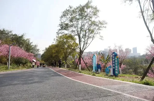 寻春意 踏春趣丨泸州这些地方花已开,坐公交打卡正当时~(图3) 3.jpg