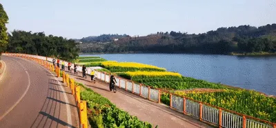 寻春意 踏春趣丨泸州这些地方花已开,坐公交打卡正当时~(图5) 5.gif