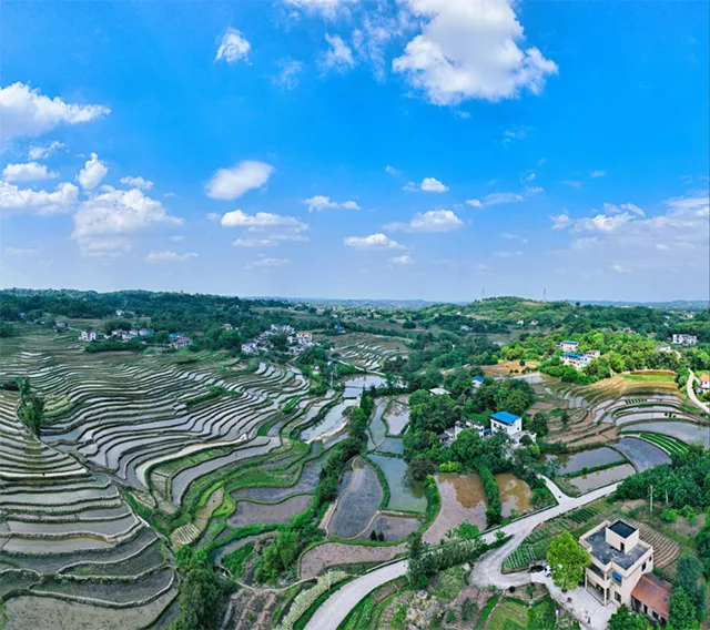 在泸州,我逢人便说春日梯田超级浪漫!(图11) 11.jpg