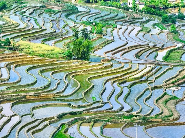 在泸州,我逢人便说春日梯田超级浪漫!(图12) 12.jpg
