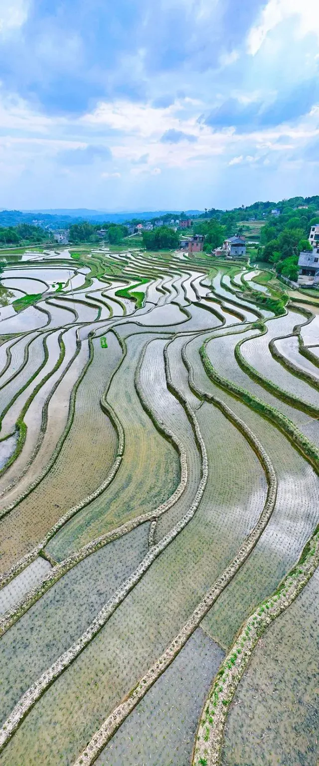 在泸州,我逢人便说春日梯田超级浪漫!(图14) 14.jpg