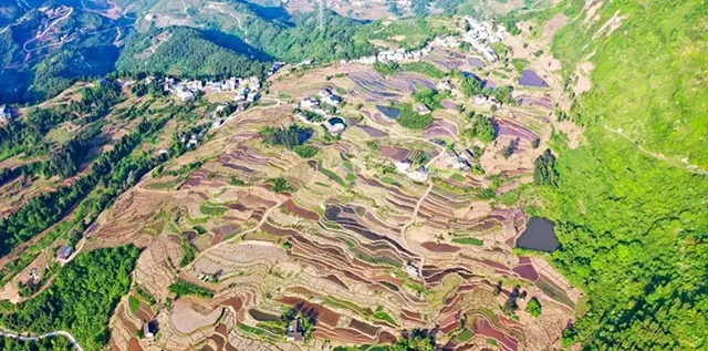 在泸州,我逢人便说春日梯田超级浪漫!(图17) 17.jpg