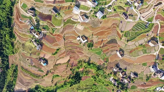 在泸州,我逢人便说春日梯田超级浪漫!(图18) 18.jpg