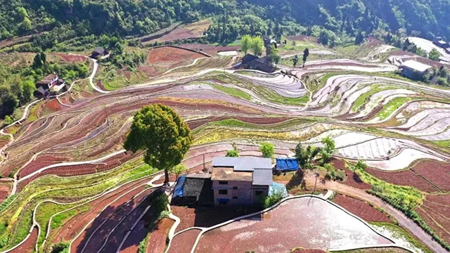 在泸州,我逢人便说春日梯田超级浪漫!(图21) 21.jpg