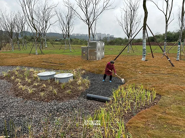 泸州茜草滨江生态公园本月开园 与东门口隔江对望
