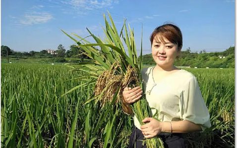 泸州市乡村女能人薛世兰：带领乡亲们种出“致富路”
