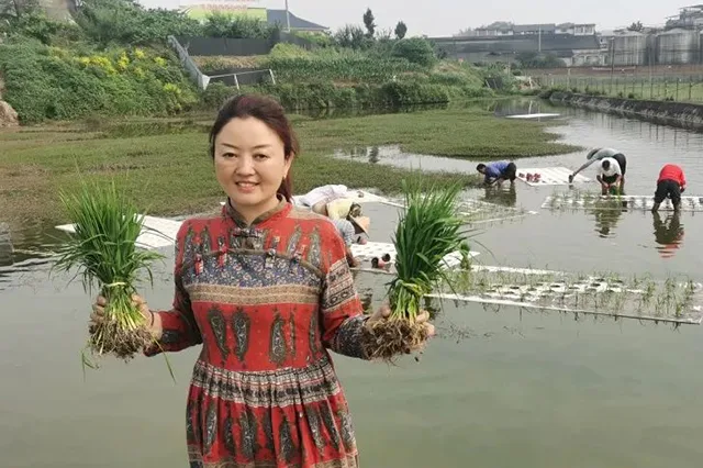 泸州市乡村女能人薛世兰：带领乡亲们种出“致富路”