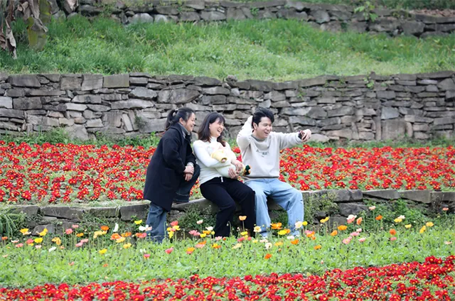 泸州郊游赏花打卡地公交出行攻略已为您准备好！一起去捕捉春色吧