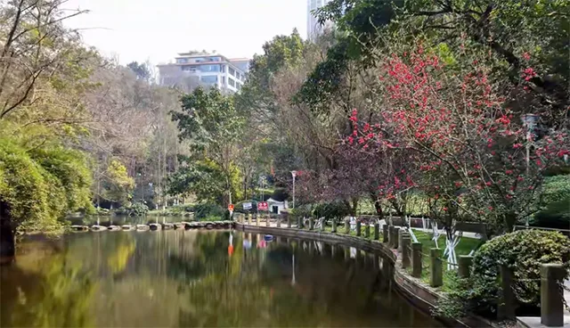 泸州郊游赏花打卡地公交出行攻略已为您准备好!一起去捕捉春色吧(图5) 5.jpg