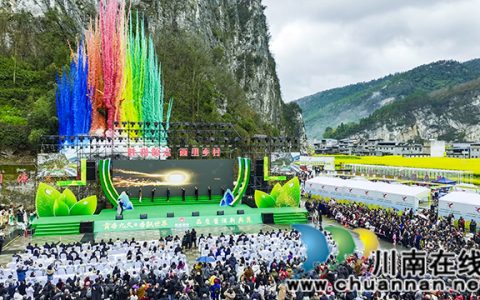 强势出圈！古蔺白沙场镇菜花文化旅游开放月正式启幕