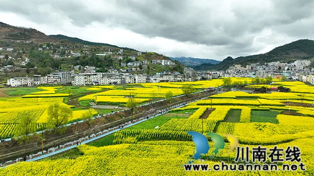 强势出圈!古蔺白沙场镇菜花文化旅游开放月正式启幕