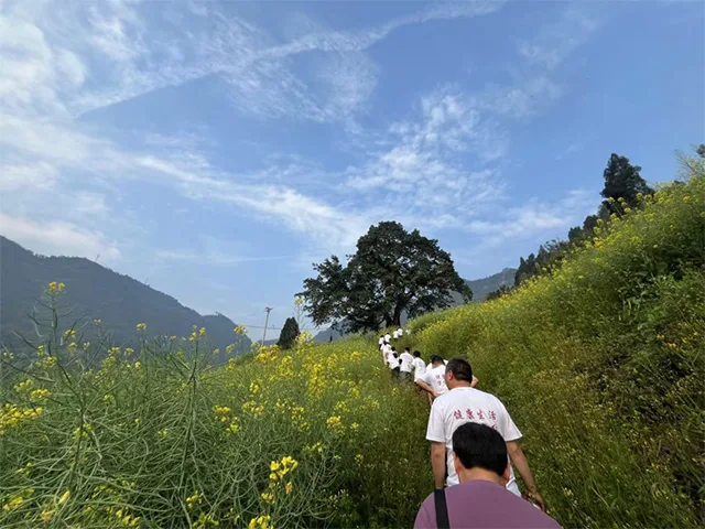 我们顶峰见!今天,一起登顶龙卦山(图5) 5.jpg