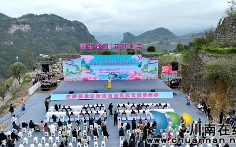 国潮谷韵·花开金兰┃古蔺金兰首届赏花文旅嘉年华开幕