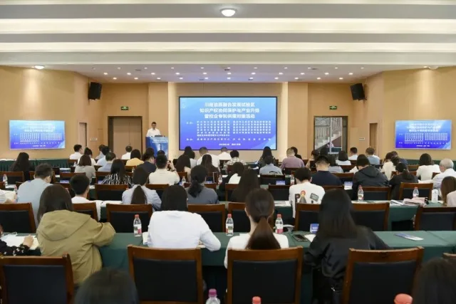 川南渝西携手共筑知识产权高地 协同创新赋能产业升级