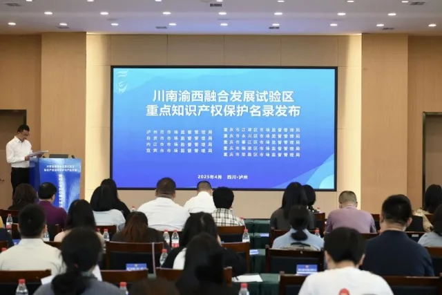 川南渝西携手共筑知识产权高地 协同创新赋能产业升级(图6) 6_副本.jpg
