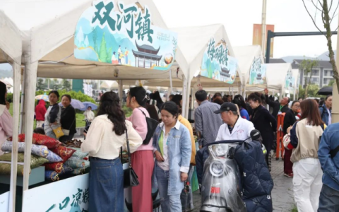 非遗展、状元巡游、凉糕自由……宜宾这个活动将持续到六月！