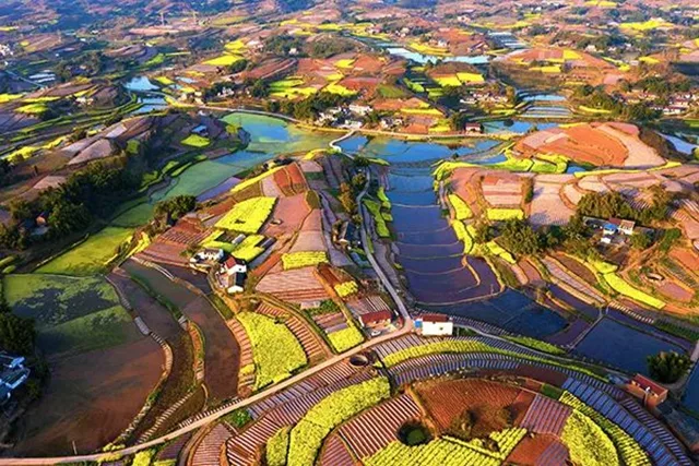 全国推介！自贡这条线路真美！
