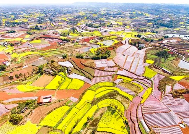 全国推介!自贡这条线路真美!