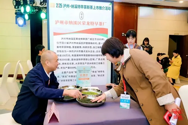 纳溪“特早茶”成都签约1.33亿元