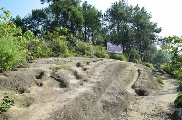 寻恐龙脚印、探百年石坊……一天玩转富顺童寺