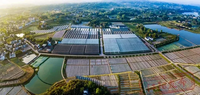 年入3亿流量保障!泸州4700㎡项目正在招商!(图5) 5.jpg