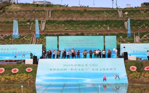 龙马潭区胡市镇：“开秧门”了！