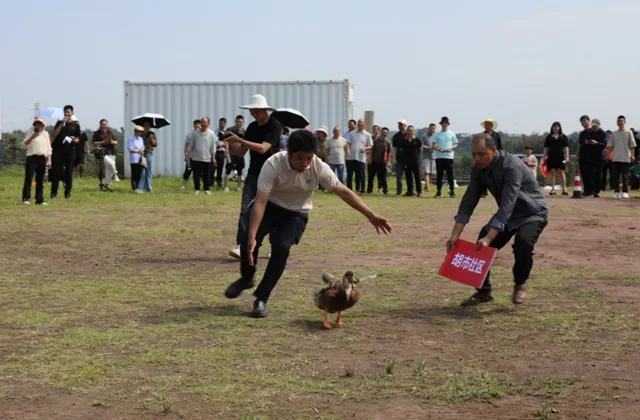 龙马潭区胡市镇:“开秧门”了!(图14) 14.jpg