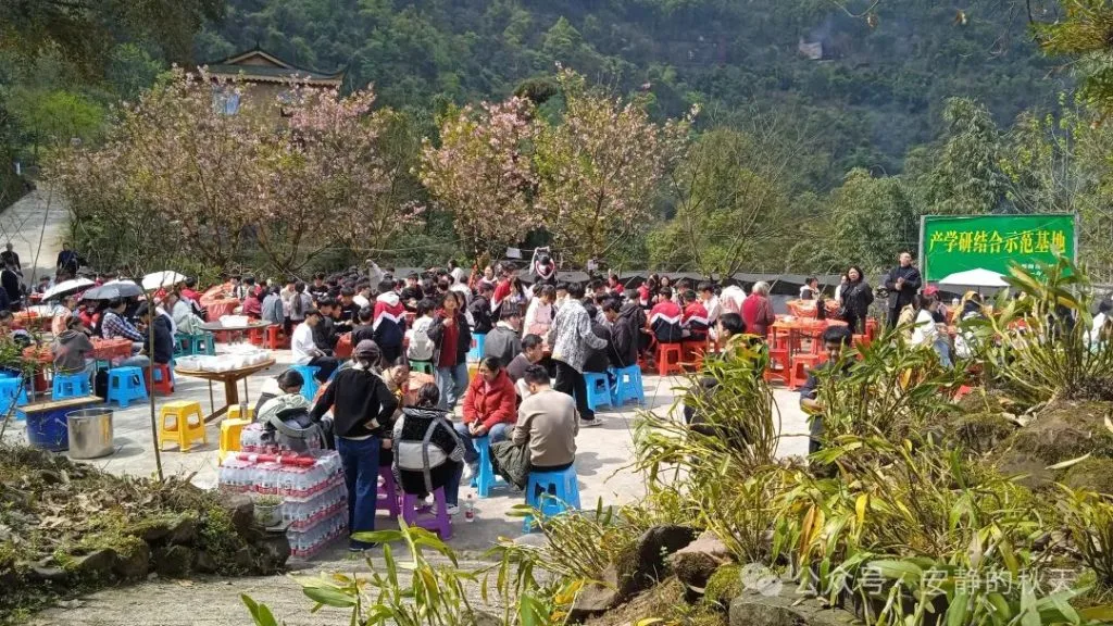 春日踏青探仙草 产教融合绘新篇 合江县高级职业中学红岩坪石斛研学记