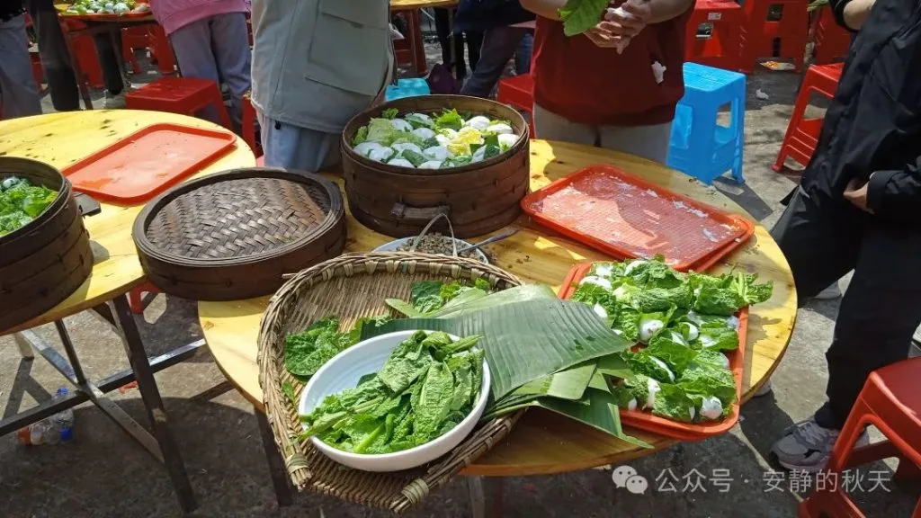 春日踏青探仙草 产教融合绘新篇 合江县高级职业中学红岩坪石斛研学记