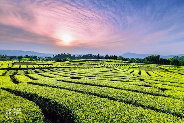泸州:赤水河谷醉游人(图1) 1.jpg