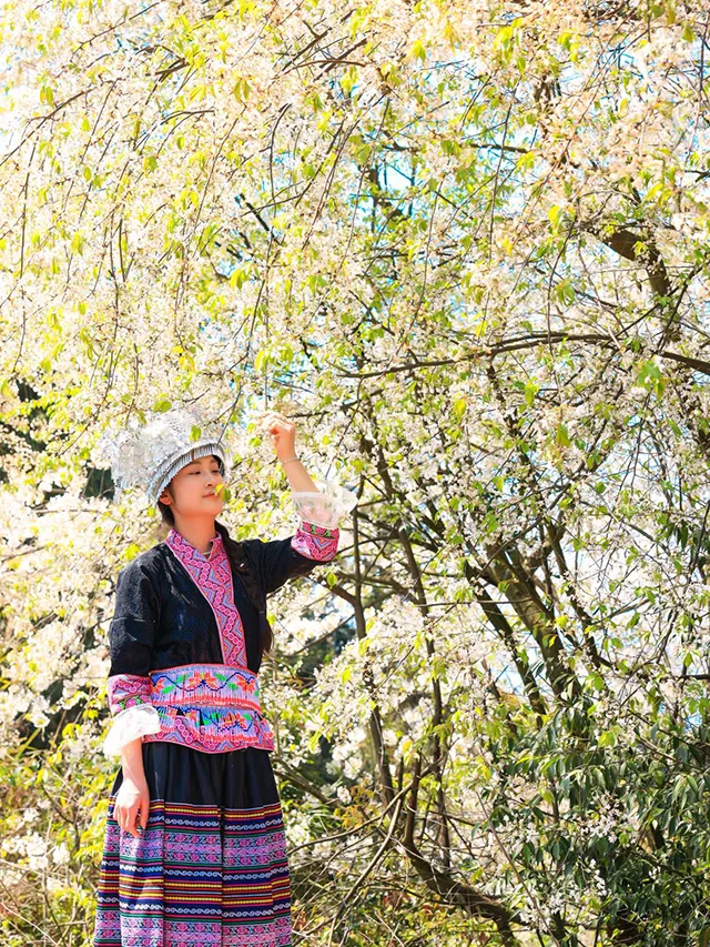 “蔺”好春光|古蔺苗乡茶山间的采茶倩影(图2) 3f010d43c5a14779803b6f3b51f9a8a8.jpg