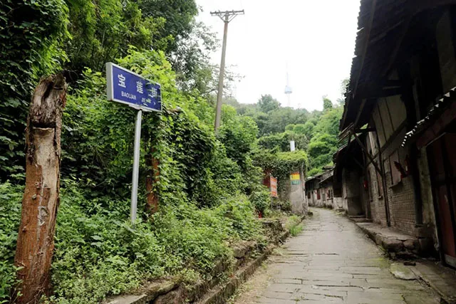 清明踏青地图已解锁!龙马潭区这8个宝藏地承包你的春日仪式感→(图15) 10015.jpg