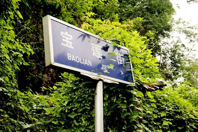 清明踏青地图已解锁!龙马潭区这8个宝藏地承包你的春日仪式感→(图18) 10018.jpg