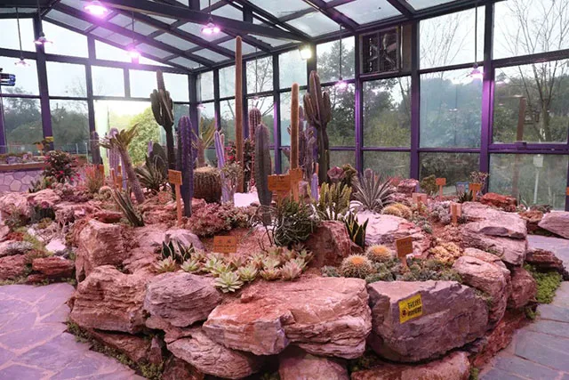 清明踏青地图已解锁!龙马潭区这8个宝藏地承包你的春日仪式感→(图22) 10022.jpg