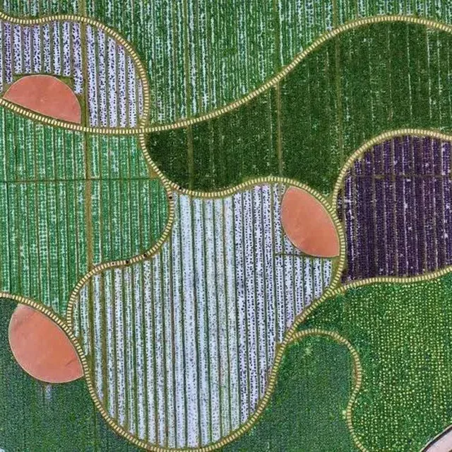 640-(1116).jpg